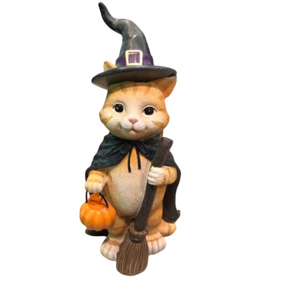 Humane Society Other - Halloween Cat